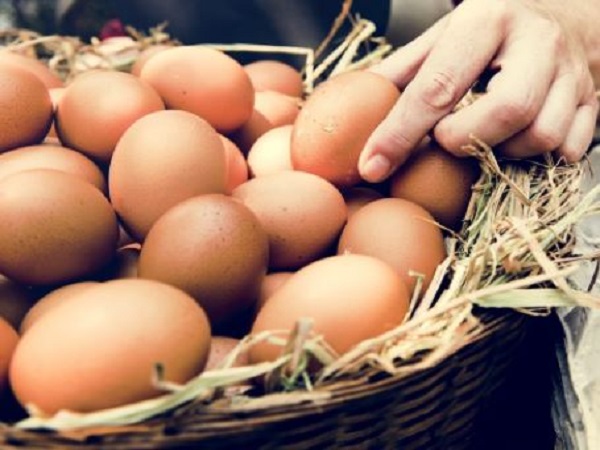 Mơ thấy trứng có điềm báo gì và đánh con số nào?