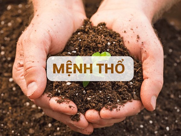 Mệnh Thổ 1961 hợp số nào cơ hội thành công lớn?