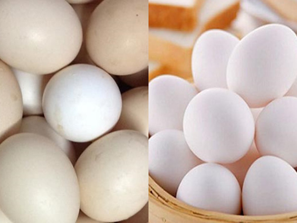 Giấc mơ thấy quả trứng có tín hiệu gì trong cuộc sống?