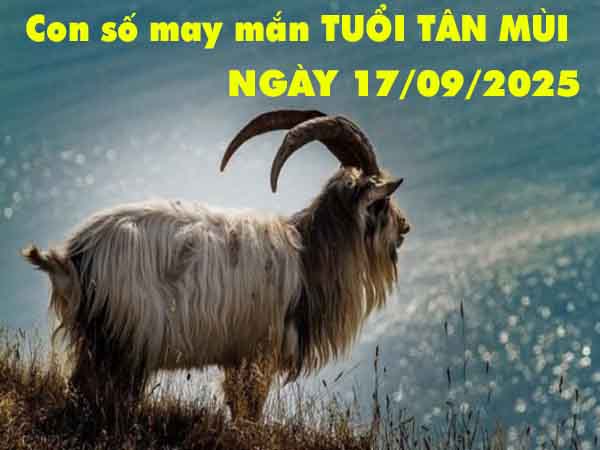 Con số may mắn tuổi Tân Mùi ngày 17/9/2025 thứ 4 hôm nay