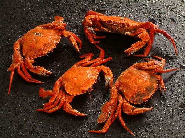 Nằm mơ thấy cua là số mấy mang ý nghĩa gì đặc biệt
