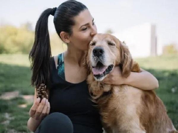 Nằm mơ thấy chó quấn quýt có ý nghĩa gì?