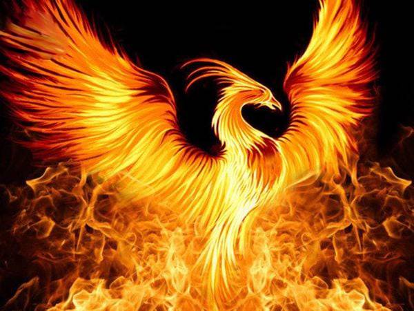 Mộng thấy phượng hoàng tái sinh từ lửa