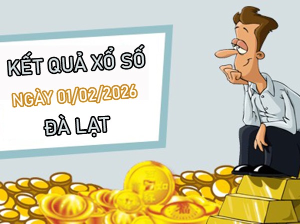 Tham khảo soi cầu DL ngày 01/02/2026 chủ nhật chính xác 100