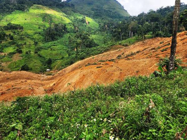 Nằm mơ thấy núi lở là điềm gì, con gì giải vận xui?