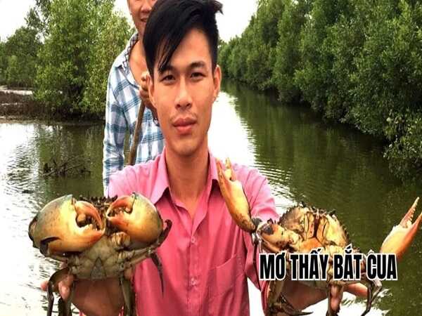 Nằm mơ thấy bắt cua là điềm gì có con gì lộc phát